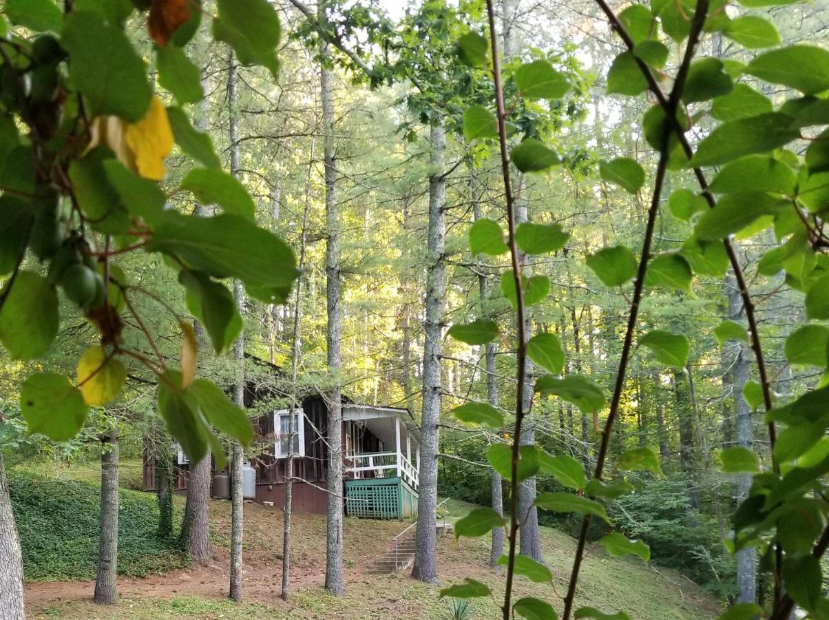 The Cabins At Healing Springs Crumpler エクステリア 写真