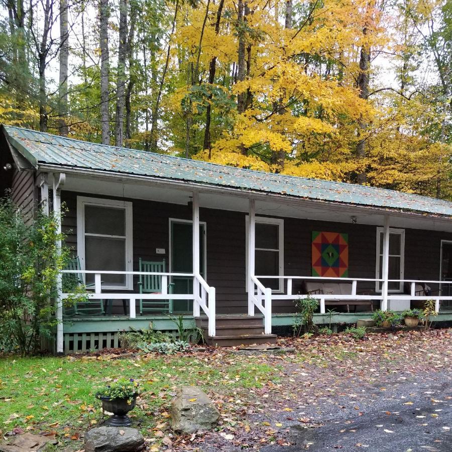 The Cabins At Healing Springs Crumpler エクステリア 写真