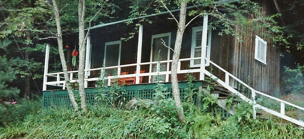 The Cabins At Healing Springs Crumpler エクステリア 写真