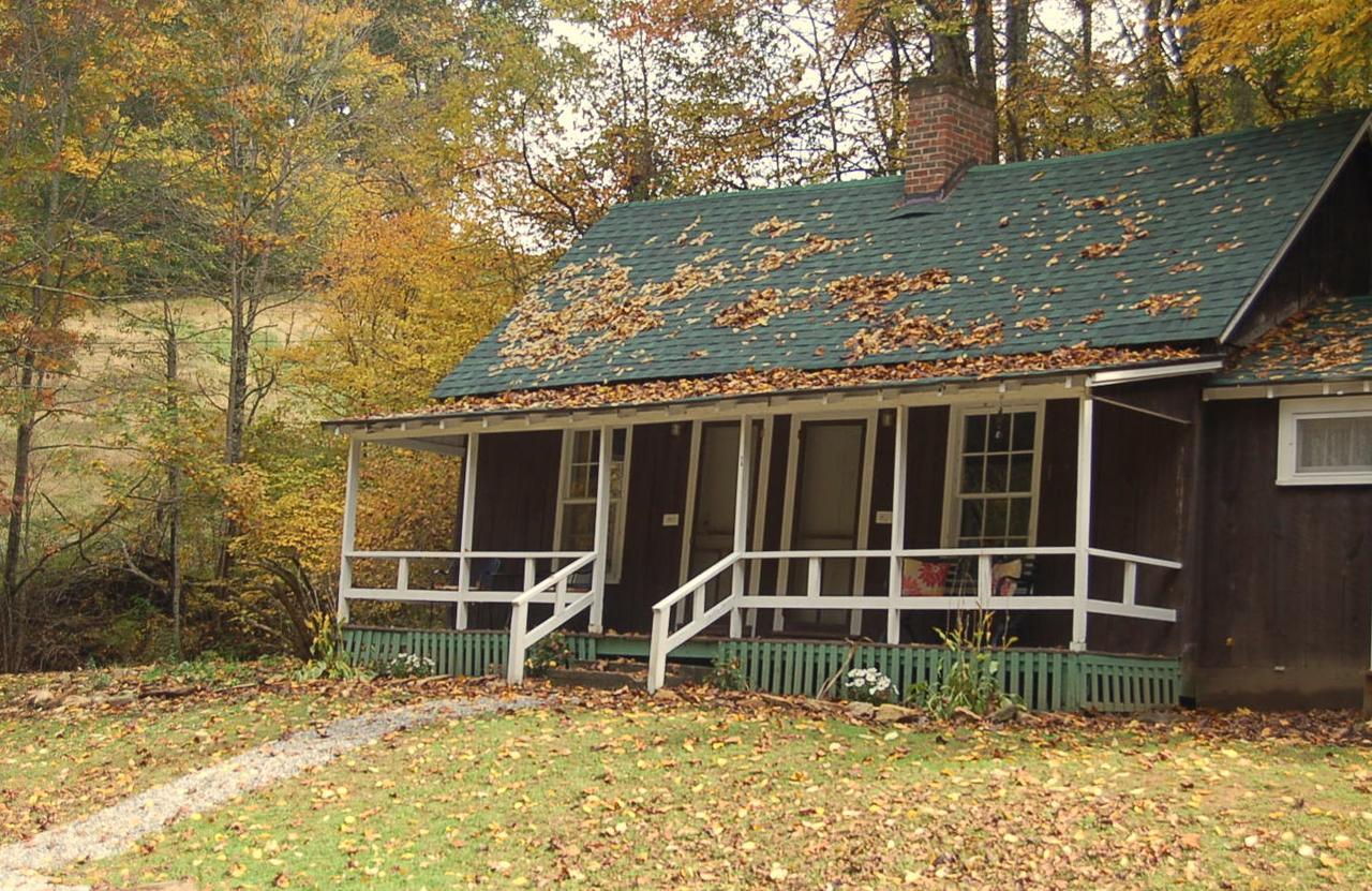 The Cabins At Healing Springs Crumpler エクステリア 写真