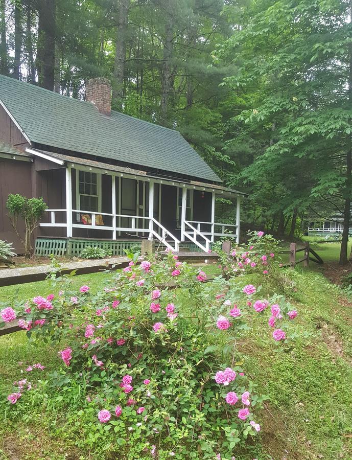 The Cabins At Healing Springs Crumpler エクステリア 写真